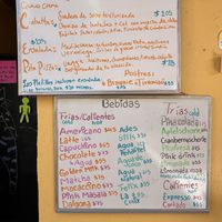   at La Selva de los Gatos in Oaxaca