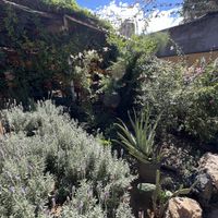   at La Selva de los Gatos in Oaxaca