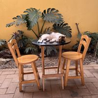   at La Selva de los Gatos in Oaxaca