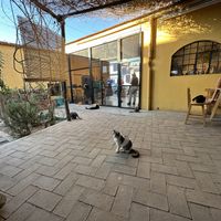   at La Selva de los Gatos in Oaxaca