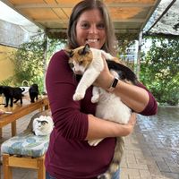   at La Selva de los Gatos in Oaxaca