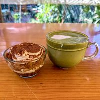   at La Selva de los Gatos in Oaxaca