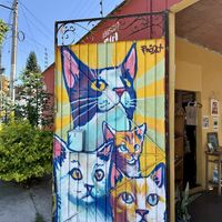   at La Selva de los Gatos in Oaxaca