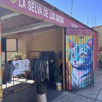   at La Selva de los Gatos in Oaxaca