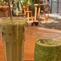 Green Smoothie and Match  at La Selva de los Gatos in Oaxaca