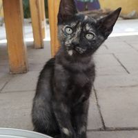  at La Selva de los Gatos in Oaxaca