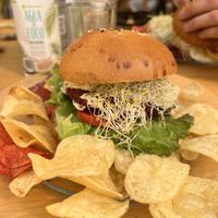 burger! bomb cheese  at La Selva de los Gatos in Oaxaca