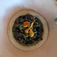 Hummus at Albi in Washington