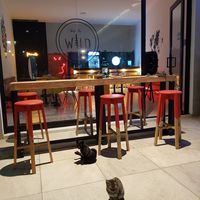 Desde fuera at Into the Wild in Danli