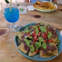 Torty wild at Into the Wild in Danli