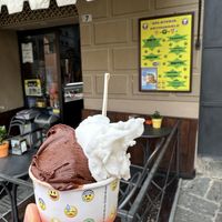   at Why Not? in Montalcino