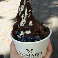 Soja frozen yogurt with dark chocolate sauce & blueberries at YOMARO - Wolbecker Str in Muenster