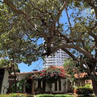 facade on @embarcocultural at Nabati Comida Vegana in Natal