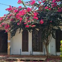  at Nabati Comida Vegana in Natal