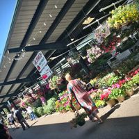 outdoor seating overlooks Capital Market at The Purple Onion in Charleston