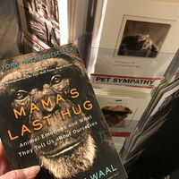 animal-friendly books and cards  at Taylor Books in Charleston