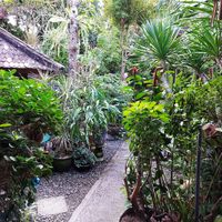 The lovely garden dining area. at Tasty Vegan in Seminyak