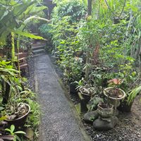 Tasty Vegan at Tasty Vegan in Seminyak