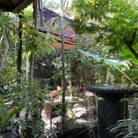   at Tasty Vegan in Seminyak