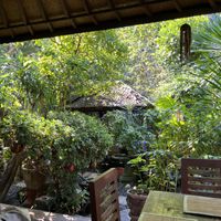   at Tasty Vegan in Seminyak
