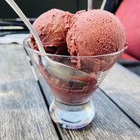 Mixed Berry Sorbet  at Vibrissa Beer in Front Royal