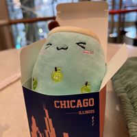   at Te'amo Boba Bar in Chicago