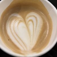   at Dessert Oasis Coffee Roasters in Royal Oak