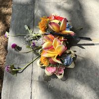   at Simply Social in Ubud