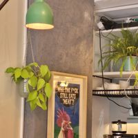  at Vegan Dükkan Lokanta - The Eatery in Istanbul