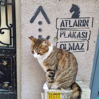  at Vegan Dükkan Lokanta - The Eatery in Istanbul