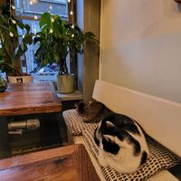  at Vegan Dükkan Lokanta - The Eatery in Istanbul