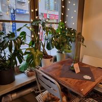 Interior (cat on the chair) at Vegan Dükkan Lokanta - The Eatery in Istanbul