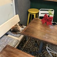 I love this place, owners and foods 😊❤️  at Vegan Dükkan Lokanta - The Eatery in Istanbul