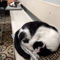  at Vegan Dükkan Lokanta - The Eatery in Istanbul