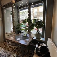   at Vegan Dükkan Lokanta - The Eatery in Istanbul