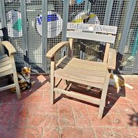 Cats at Vegan Dükkan Lokanta - The Eatery in Istanbul