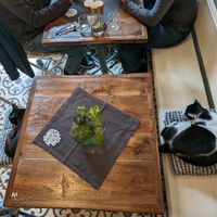  at Vegan Dükkan Lokanta - The Eatery in Istanbul