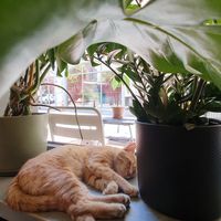  at Vegan Dükkan Lokanta - The Eatery in Istanbul