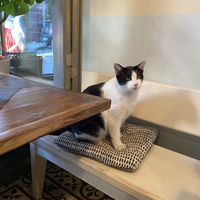   at Vegan Dükkan Lokanta - The Eatery in Istanbul