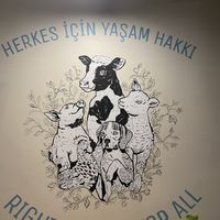   at Vegan Dükkan Lokanta - The Eatery in Istanbul