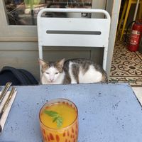   at Vegan Dükkan Lokanta - The Eatery in Istanbul