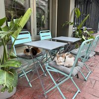   at Vegan Dükkan Lokanta - The Eatery in Istanbul