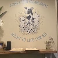 Art  at Vegan Dükkan Lokanta - The Eatery in Istanbul