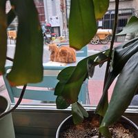 Outdoor seating at Vegan Dükkan Lokanta - The Eatery in Istanbul