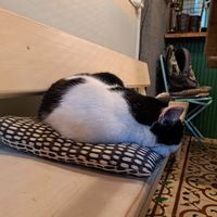 Indoor seating at Vegan Dükkan Lokanta - The Eatery in Istanbul