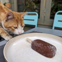  at Vegan Dükkan Lokanta - The Eatery in Istanbul