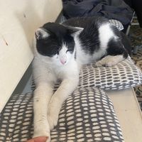   at Vegan Dükkan Lokanta - The Eatery in Istanbul