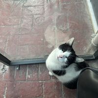   at Vegan Dükkan Lokanta - The Eatery in Istanbul