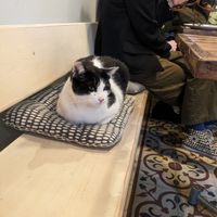  at Vegan Dükkan Lokanta - The Eatery in Istanbul