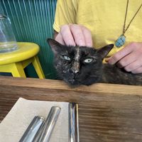   at Vegan Dükkan Lokanta - The Eatery in Istanbul